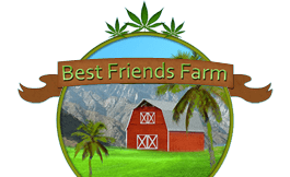 Best Friends Farm